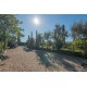 FARMHOUSE WITH POOL FOR SALE IN MONTE GIBERTO IN THE MARCHE REGION has been expertly restored and used as an accommodation business in Le Marche_7